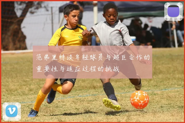 范弗里特谈年轻球员与超巨合作的重要性与适应过程的挑战
