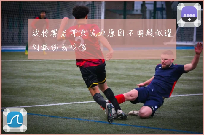 波特赛后耳朵流血原因不明疑似遭到抓伤或咬伤