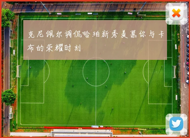 克尼佩尔调侃哈珀新秀羡慕你与卡布的荣耀时刻